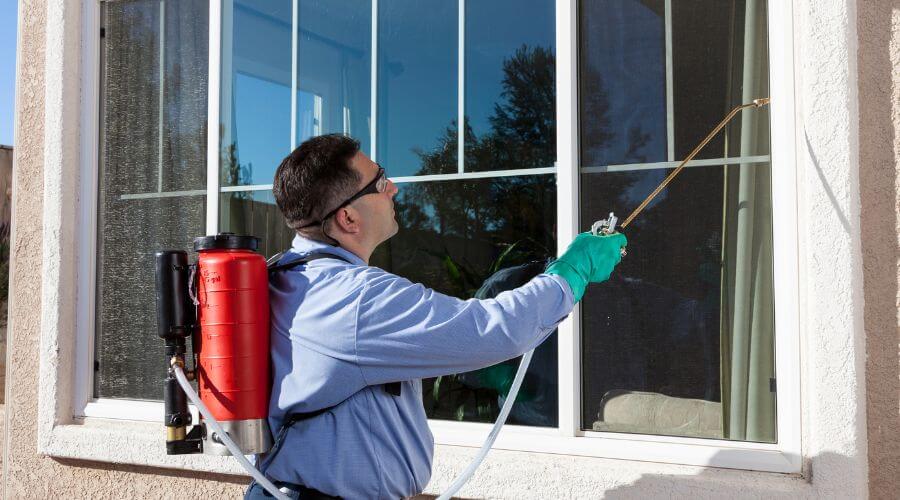 Professional 24 hour pest control services in Billings